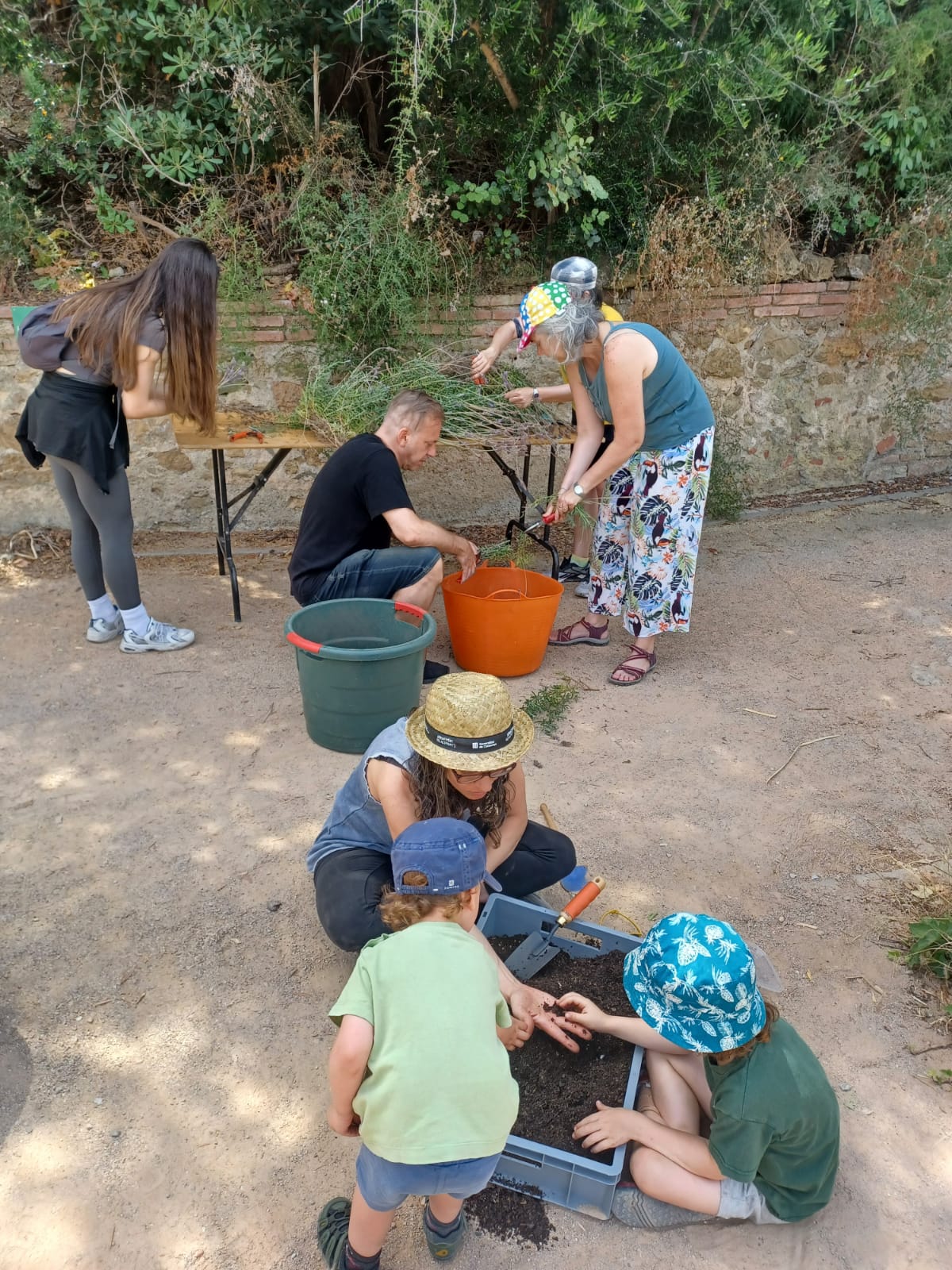 Jornada de voluntariat ambiental